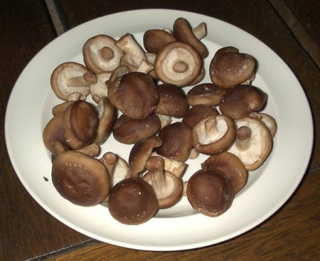 Приготовление грибов шиитаке. Способы и советы